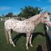 Profile Picture of Jose Conchas (@jose.conchas.583) on Facebook