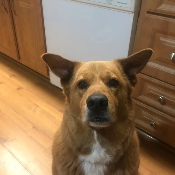 Profile Picture of Lisa Feimer (@lisafeimer) on Poshmark