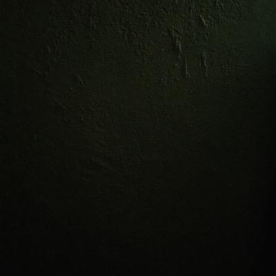 Profile Picture of Sandy Hooks (@courtb1992) on Twitter