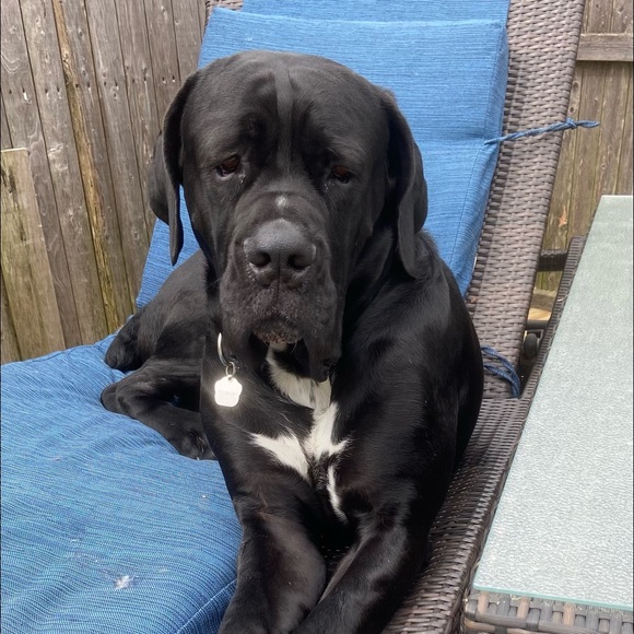 Profile Picture of Wendy Karyo (@wendykaryo) on Poshmark