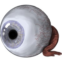 Profile Picture of Al Jarvis (@al-jarvis-2) on Quora