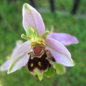 Profile Picture of Maria Thompson (@mariathompson50) on Pinterest