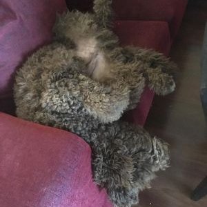 Profile Picture of Concha Garnacho Ramírez (@GarnachoRamirez) on Twitter