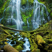 Profile Picture of Joe Schurr (@joeschurr1855) on Youtube