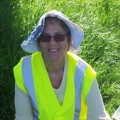 Profile Picture of Eileen Hill (@eileenhill29) on Twitter
