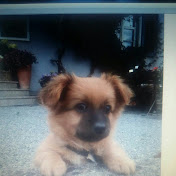 Profile Picture of David Wachter (@davidwachter4259) on Youtube