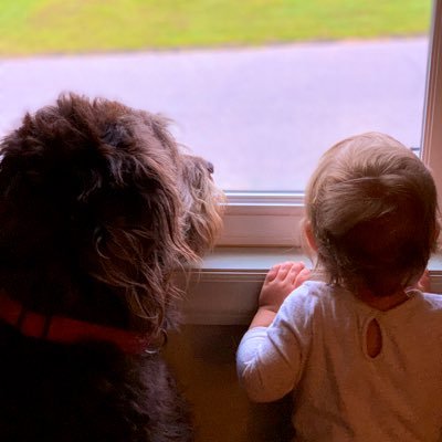 Profile Picture of Joshua Muckey (@joshuamuckey) on Twitter