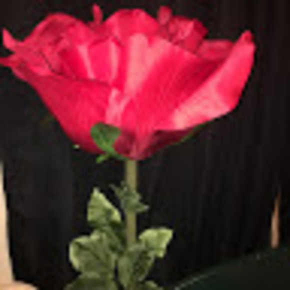 Profile Picture of Saleen Lazos (@mariacevedo1122) on Poshmark