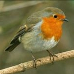 Profile Picture of Alison Bainbridge (@ali190581bainbridge) on Instagram