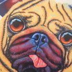 Profile Picture of Jimmy Bolton (@_jimmy.bolto) on Instagram