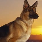 Lorraine Nuzzo - Facebook Profile Picture of Lorraine Nuzzo (@RAINIE221) on Facebook