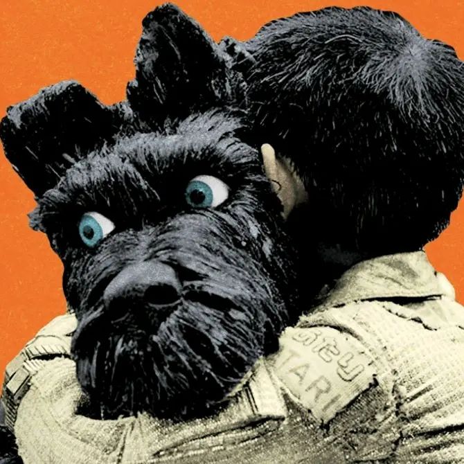 Profile Picture of Jason Marner (@pde47b7d5c) on Tiktok