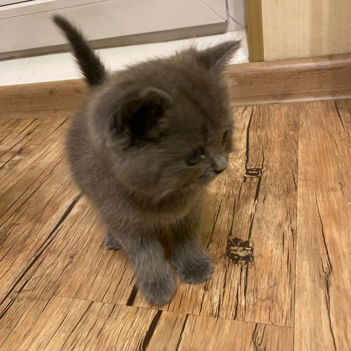 Profile Picture of Ричард Рич (@richardrich01) on Tiktok