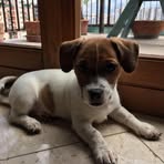 Profile Picture of Mariuccia Bianco (@mariuccia.bianco.1) on Facebook