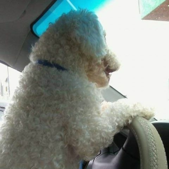 Profile Picture of Lorena Navarro (@lorenanavarr758) on Poshmark