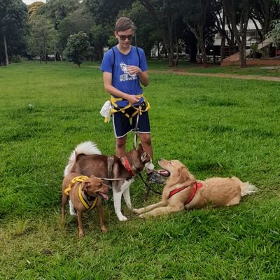 Profile Picture of Lucas Vinícius (@REAP_LusCurry) on Twitter