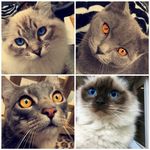 Profile Picture of Pam Massey (@pam.massey) on Instagram