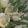 Profile Picture of Нэтали (@n_almonds) on Tiktok