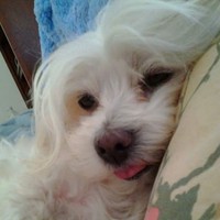 Profile Picture of David Belkin (@david-belkin-10) on Quora