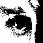 Profile Picture of Jose Antonio Carreira Cebey (@carreira_cebey) on Instagram