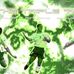 Profile Picture of Joey Charron (@joey.charron.54) on Facebook