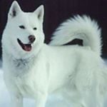 Profile Picture of Ryan Marker (@thetruthryan_marker) on Instagram