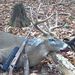 Profile Picture of Jeff Hughart (@hughartjefferyk) on Pinterest