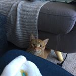 Ricardo Alcala - Instagram Profile Picture of Ricardo Alcala (@riiiiiiiiiiiiiiiiiiiiiiicardo) on Instagram