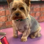 Brendan Mc Bride - Facebook Profile Picture of Brendan Mc Bride (@brendan.m.bride) on Facebook