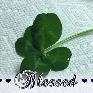 Profile Picture of Bonnie Doscher (@bonnie.doscher.3) on Facebook