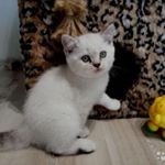 Profile Picture of Blevins Jasmin (@antonio5873) on Instagram
