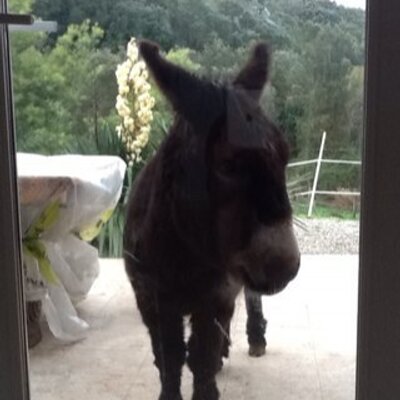Profile Picture of Bausch David (@davidbausch) on Twitter