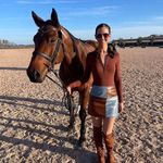 Profile Picture of Sarah Kuhn (@sarahkuhnequestrian) on Instagram