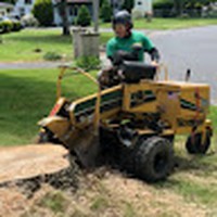 Profile Picture of Paul Guido (@paul-guido-14) on Quora