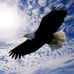 Profile Picture of Michael Moniz (@michael.moniz.37669) on Facebook