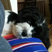 Profile Picture of Chris Comeau (@crispystar1394) on Youtube