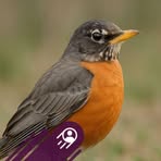 Profile Picture of Flame Forest (@Flame-Forest) on Facebook