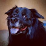 Profile Picture of Steven Philippsen (@steven_phili) on Instagram