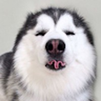 Profile Picture of Erik Lindholm (@erik-lindholm-10) on Quora