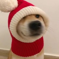 Profile Picture of Jules Browne  (@jules-browne-1) on Quora