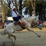 Profile Picture of Mario Robledo (@robledomario80) on Instagram