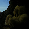 Profile Picture of panfriedufos (@panfriedufos) on Flickr
