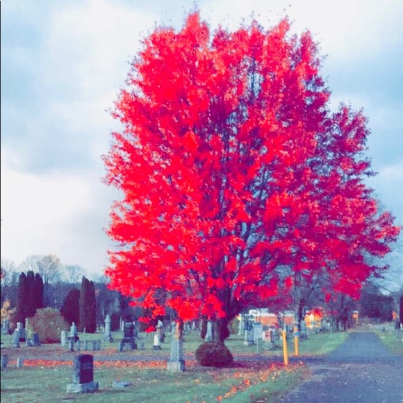 Celina Salucci - Poshmark Profile Picture of Celina Salucci (@littlecell) on Poshmark