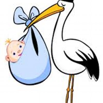 Profile Picture of Randy Wilms (@@ocstork) on Twitter
