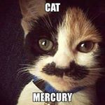 Profile Picture of Mario Cosio (@mario.cosio52) on Instagram