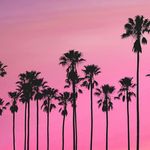 Profile Picture of Alexander Bozzini (@alexanderbozz) on Instagram