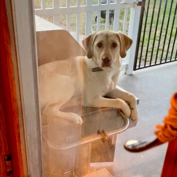 Profile Picture of Patrick Thomason (@downrange) on Poshmark