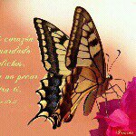 Profile Picture of Rogelio Salgado (@rogelio.salgado.9400) on Instagram