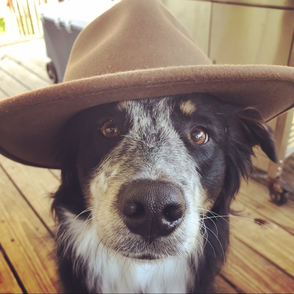 Profile Picture of Tyler Huddleston (@twhfox104) on Poshmark