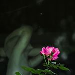 Profile Picture of Lang Bạt (@chauduchieu92) on Instagram